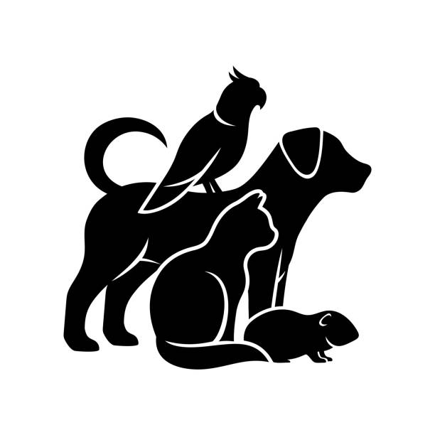 Contrôle d'animaux